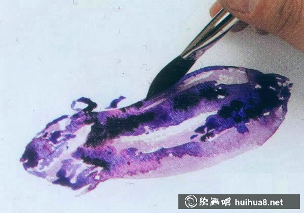 水彩畫(huà)入門(mén)教程：寫(xiě)生茄子的步驟
