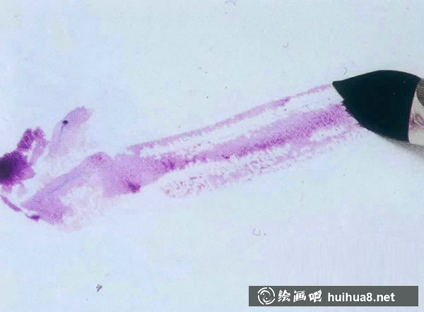 水彩畫(huà)入門(mén)教程：寫(xiě)生茄子的步驟