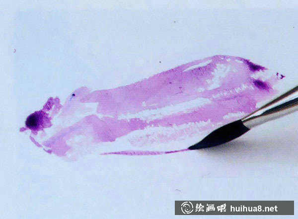 水彩畫(huà)入門(mén)教程：寫(xiě)生茄子的步驟
