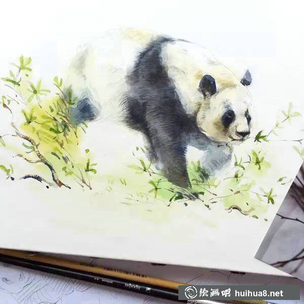 Natalia Tyulkina美好的小清新水彩手繪插畫