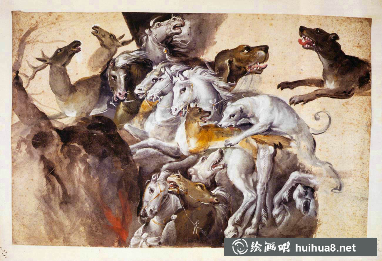 朱塞佩·阿爾欽博托動(dòng)物博物畫水彩作品欣賞