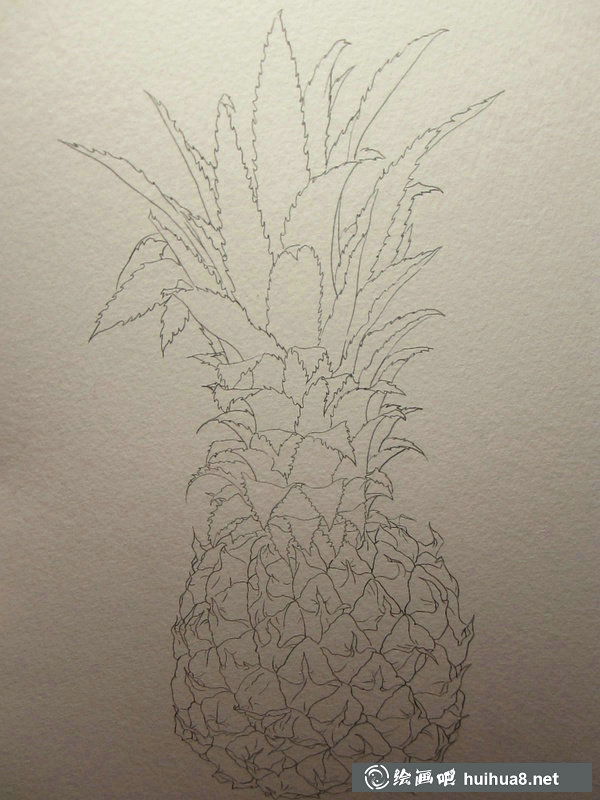 溫澤小清新水果菠蘿手繪水彩畫教程