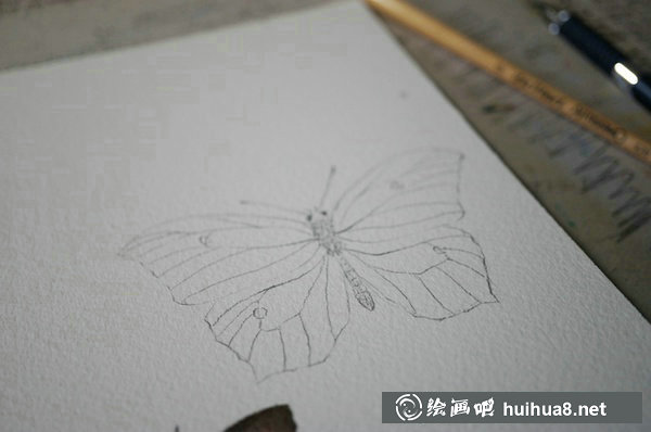周小兜小清新水彩插畫蝴蝶繪畫教程