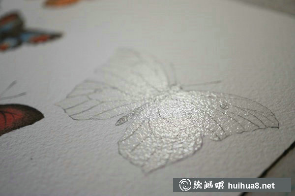 周小兜小清新水彩插畫蝴蝶繪畫教程