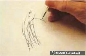 水彩畫(huà)筆不同筆頭在繪畫(huà)中的運(yùn)用