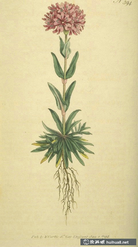 英國(guó)皇家植物園雜志圖欣賞