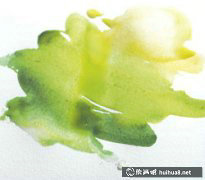 探索水彩顏料歷史畫卷