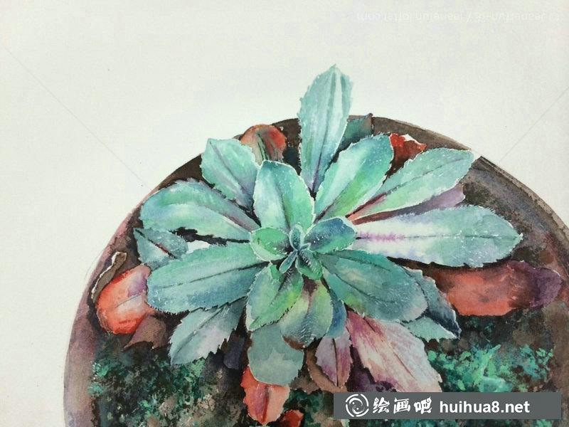 江南芳生活中細(xì)微的美水彩畫作品