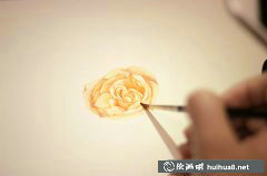 李淡淡小清新花朵水彩插畫教學(xué)