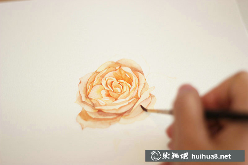 李淡淡小清新花朵水彩插畫教程