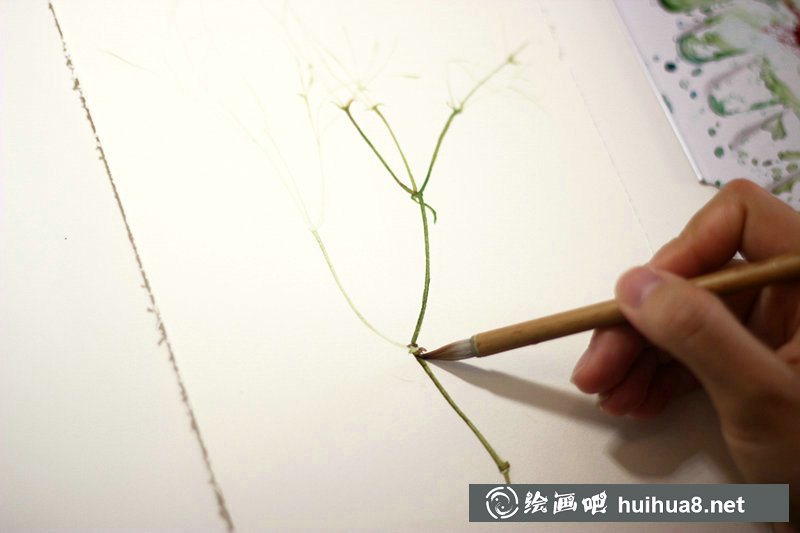 李淡淡小清新花朵水彩插畫教程