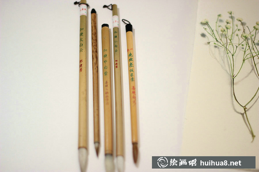 李淡淡小清新花朵水彩插畫教程
