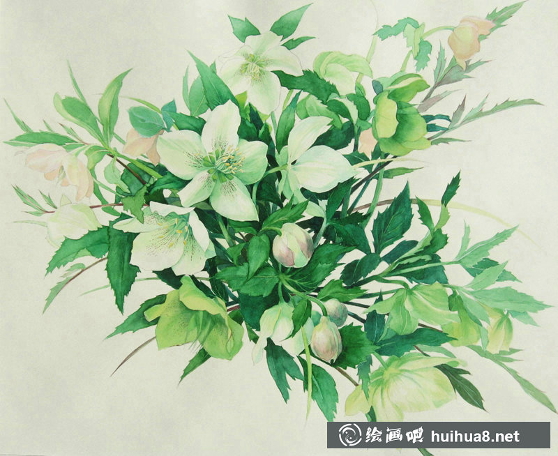 星野木綿的山間花草水彩畫