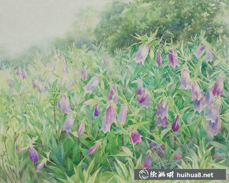 星野木綿的山間花草水彩畫
