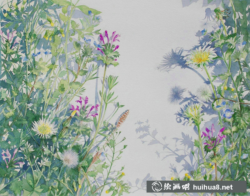 星野木綿的山間花草水彩畫