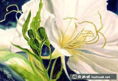 MarneyWard光影水彩花卉藝術(shù)