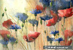 Malgorzata Szczecinska水彩花卉風景藝術(shù)