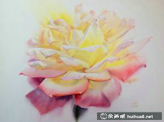 泰國Sattha Homsawat水彩玫瑰綻放