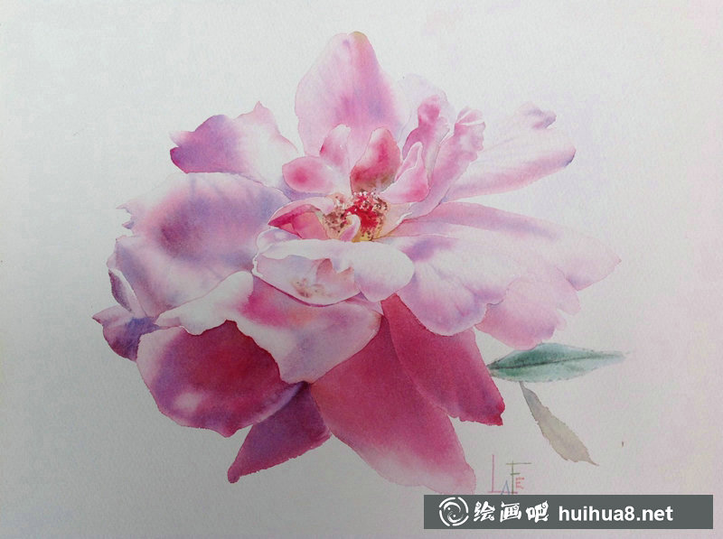泰國Sattha Homsawat水彩筆下的玫瑰花