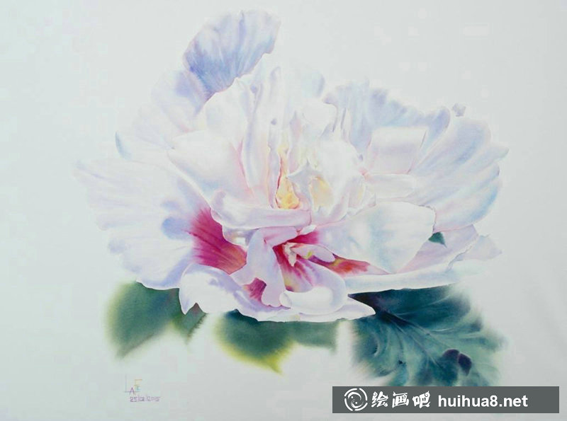 泰國Sattha Homsawat水彩筆下的玫瑰花
