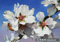 瑪麗蓮Wear水彩動植物之美