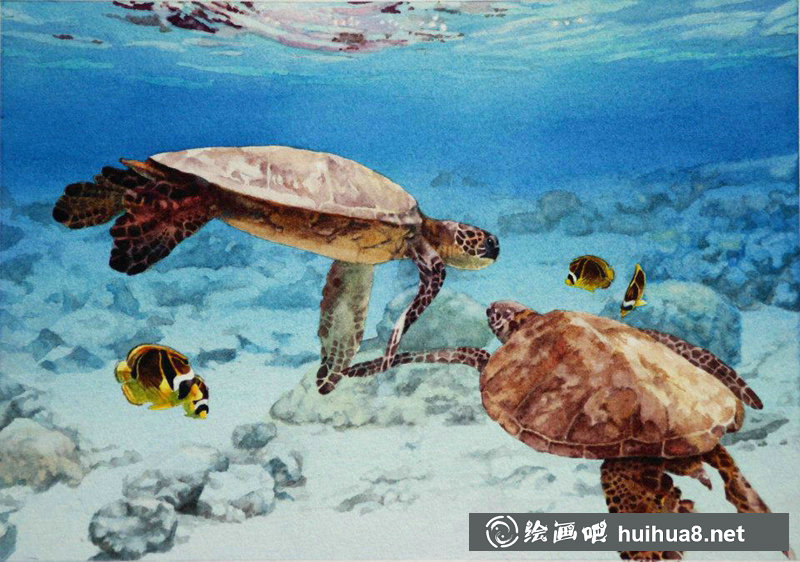 瑪麗蓮Wear自然動植物水彩作品