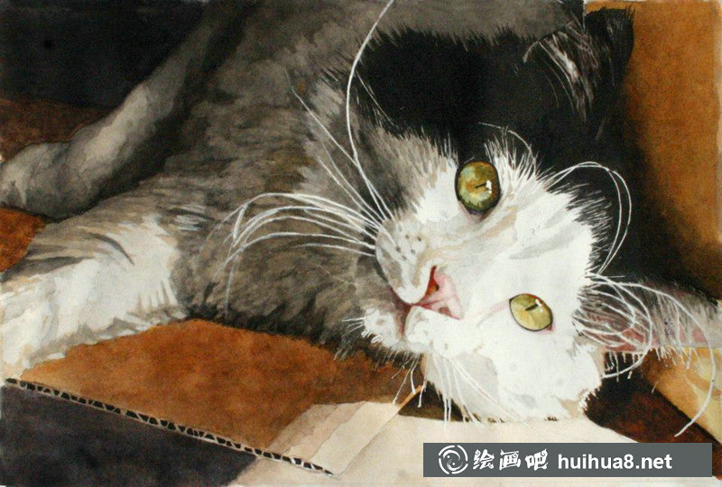 瑪麗蓮Wear自然動植物水彩作品