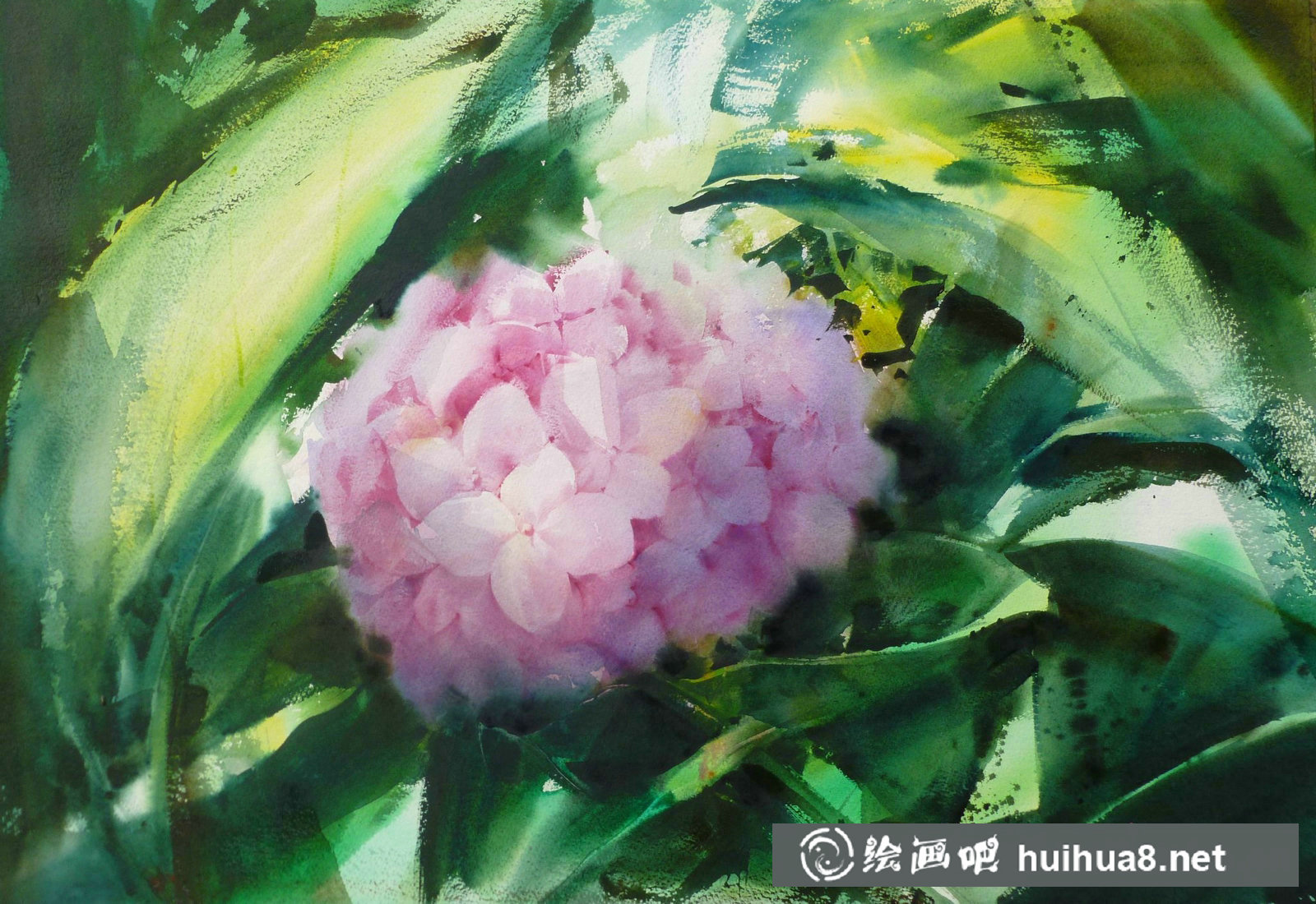 泰國(guó)Adisorn Pornsirikarn花卉水彩畫二