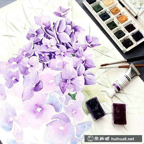 Elena Limkina的植物水彩插畫(huà) (4)