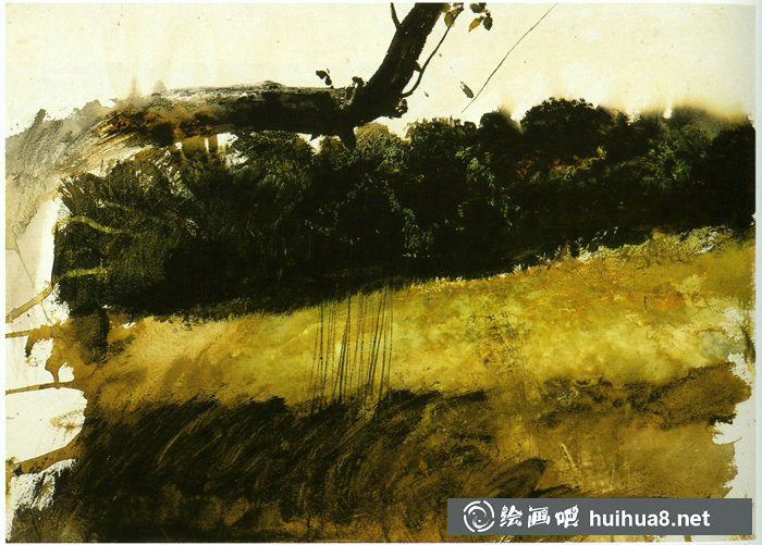 美國(guó)新寫(xiě)實(shí)主義大師安德魯·懷斯水彩畫(huà)作品