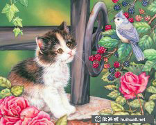 美國插畫師Jane Maday繪萌貓小動物集