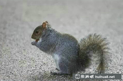 水彩畫筆筆頭筆毛詳細(xì)介紹大全