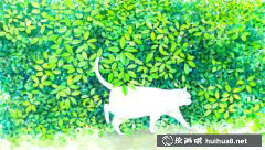 山田綠喵星人插畫作品集