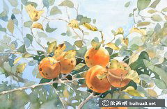 法國女畫家Delphine Poussot水彩藝術(shù)佳作賞析