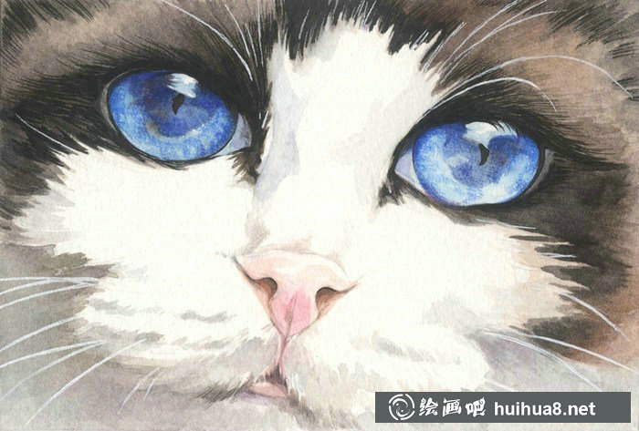 豆子桃水彩插畫(huà):我只會(huì)畫(huà)畫(huà)