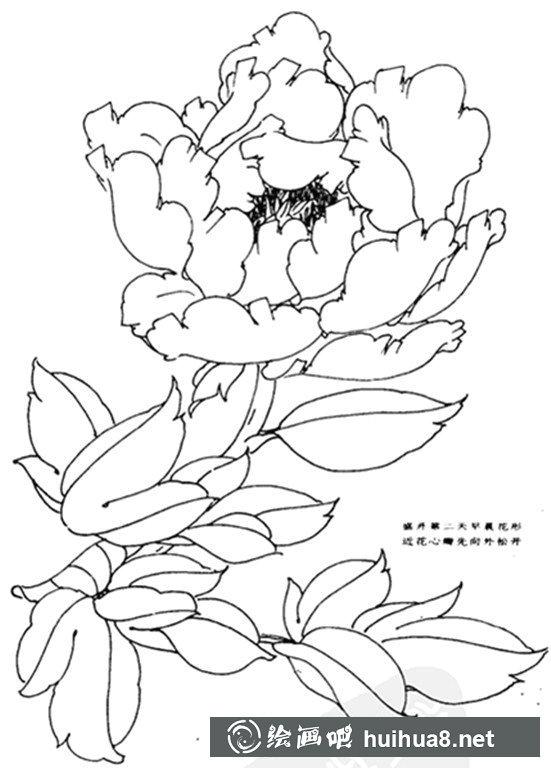 舞動(dòng)的蝴蝶