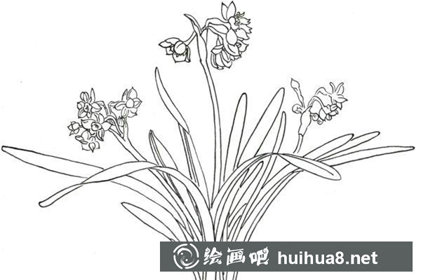 飛翔的鳳凰
