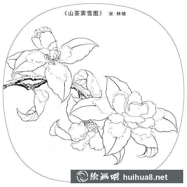 清晨的露珠