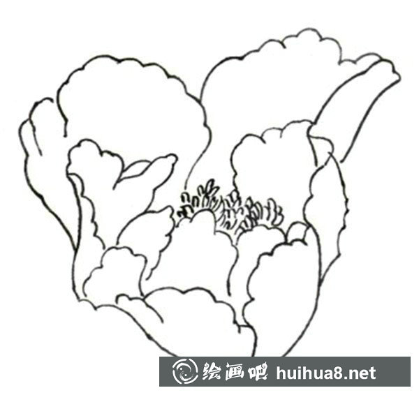奔跑的駿馬