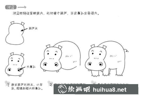 河馬簡筆畫步驟5