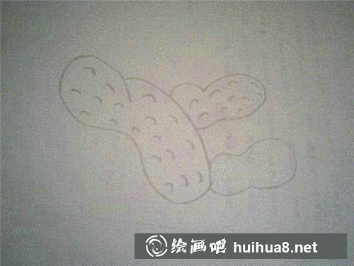 花生外形線