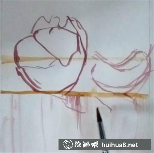 桔子輪廓