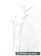 速寫樹木技法全解析