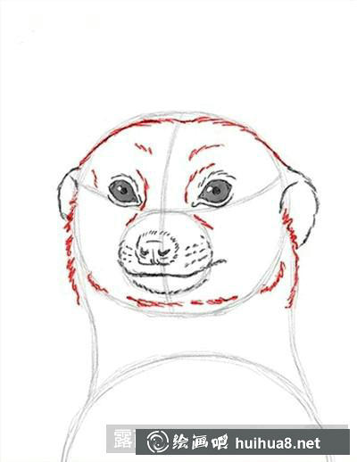 5 5