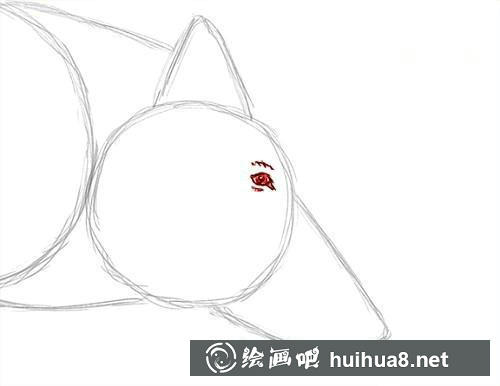 兔子頭部細(xì)節(jié) 兔子頭部細(xì)節(jié)