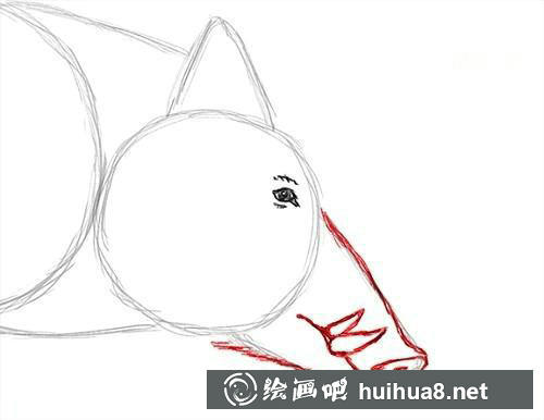 兔子毛發(fā)紋理 兔子毛發(fā)紋理