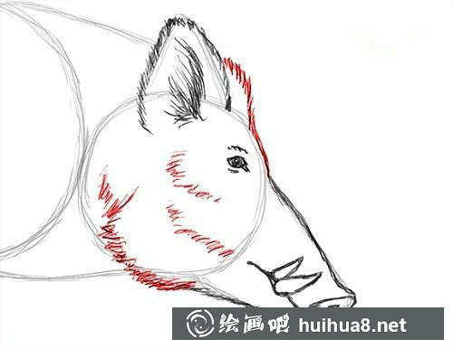 兔子陰影效果 兔子陰影效果