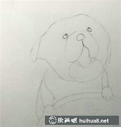 狗狗插畫繪制指南