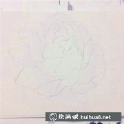 芍藥花水彩畫教學(xué)指南