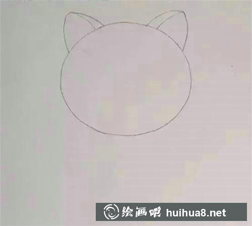 起司貓的耳朵